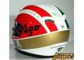 casco_agostini.jpg