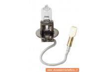 Halogen lamps 12V - H3 - 55W